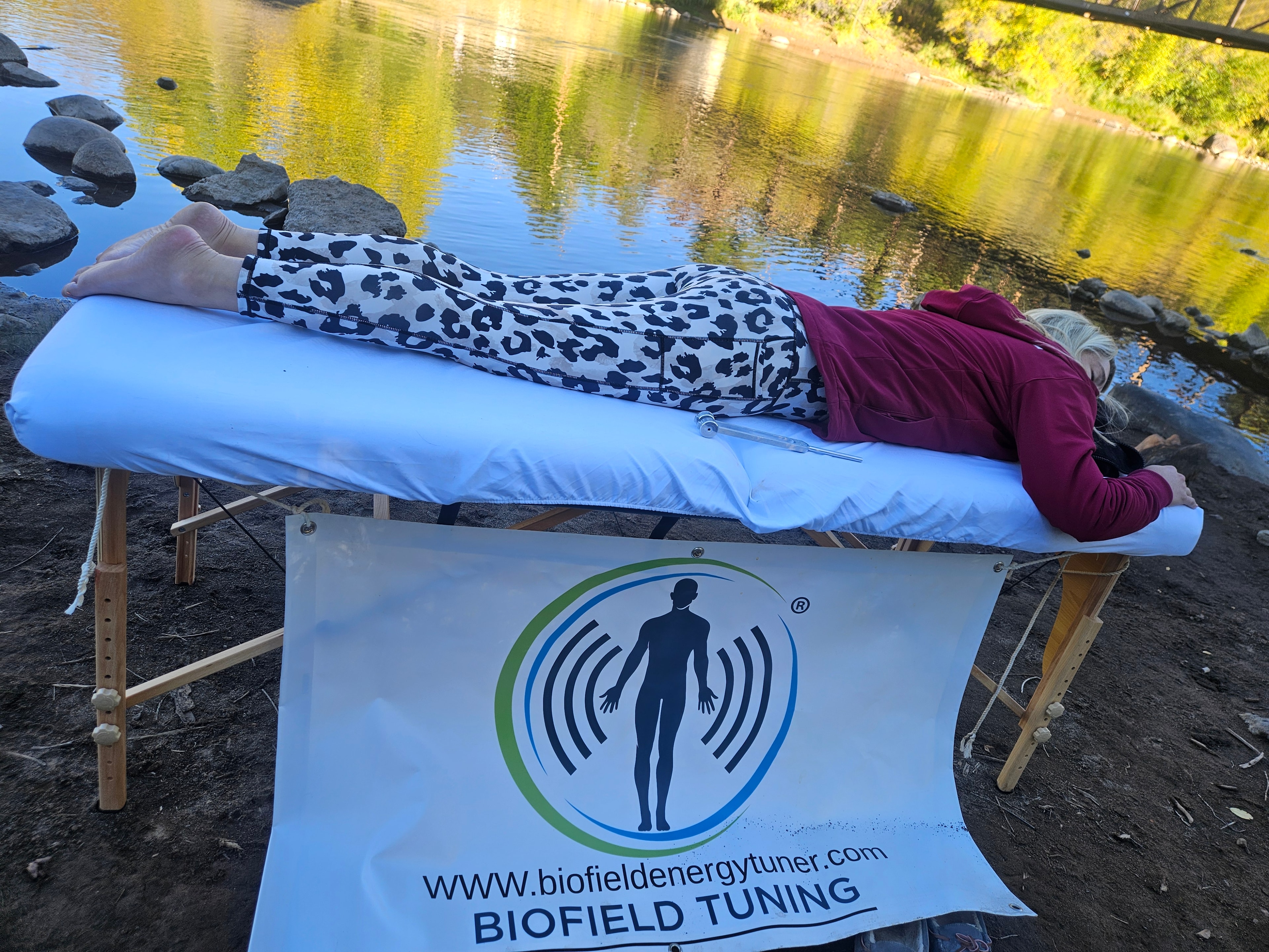 Adrenal rhythm reset and spine walk session