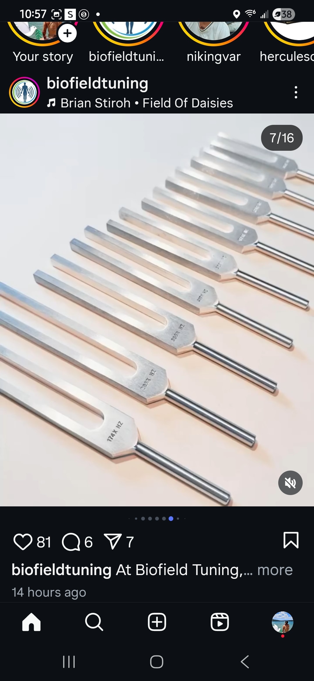 Collection of precision tuning forks for biofield tuning